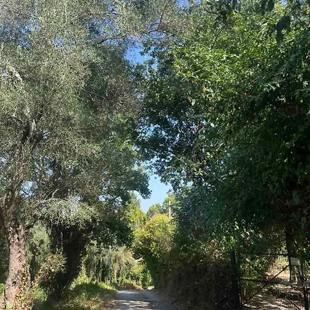 Luxury Breeze With Private Pools Villa